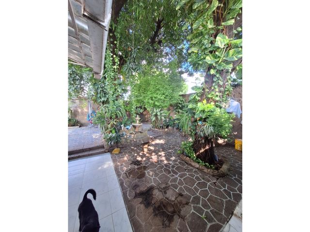 place photo 13