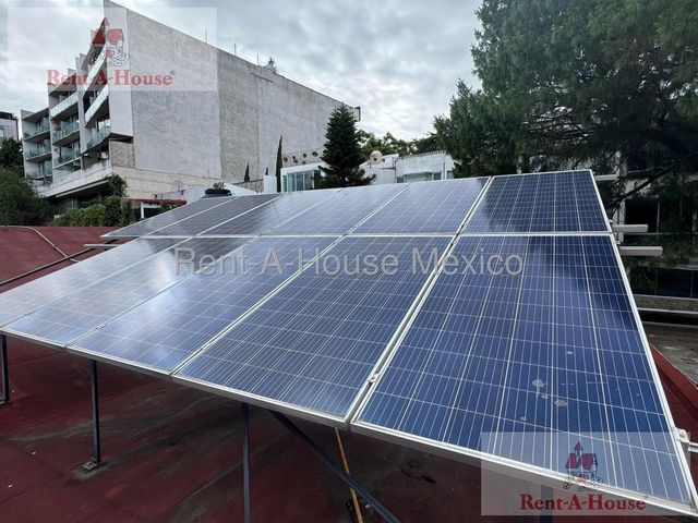 place photo 46