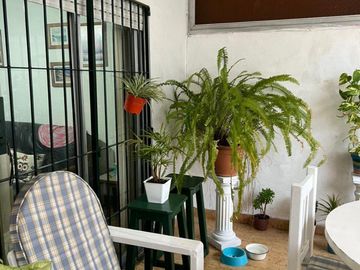 place photo 17