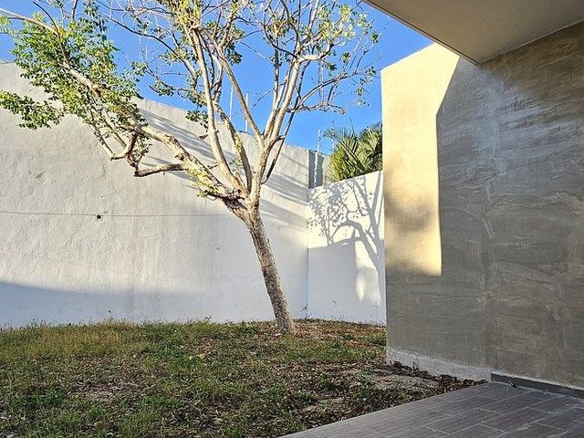 place photo 37