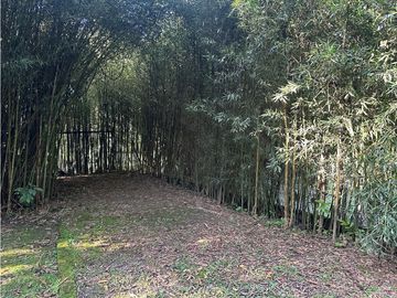 place photo 45