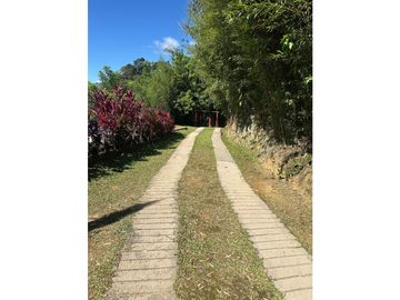place photo 64