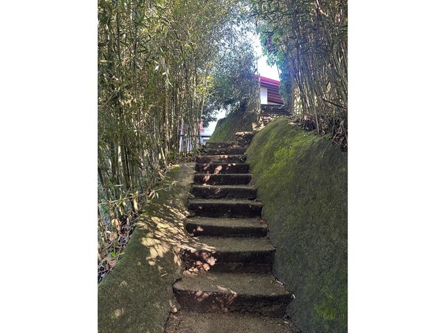 place photo 43
