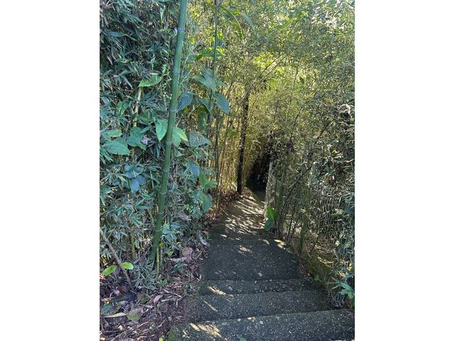 place photo 55