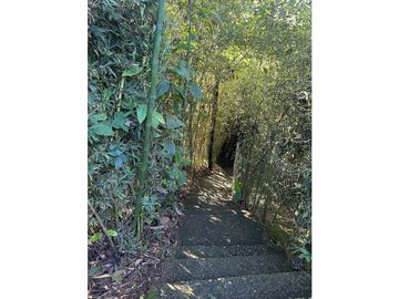 place photo 55