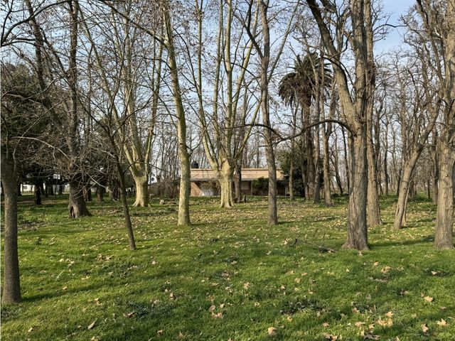 place photo 34
