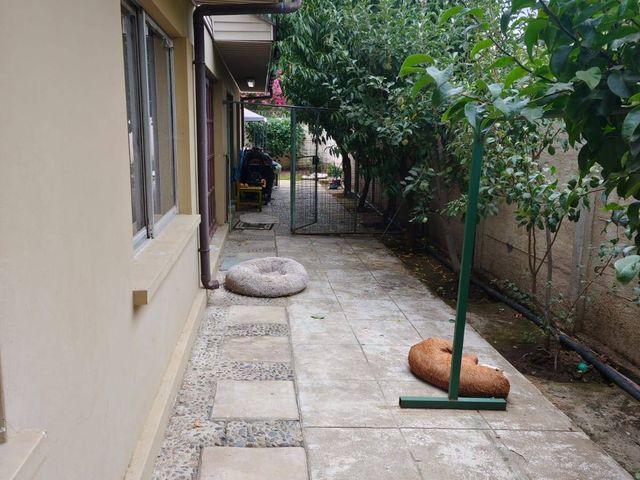 place photo 55