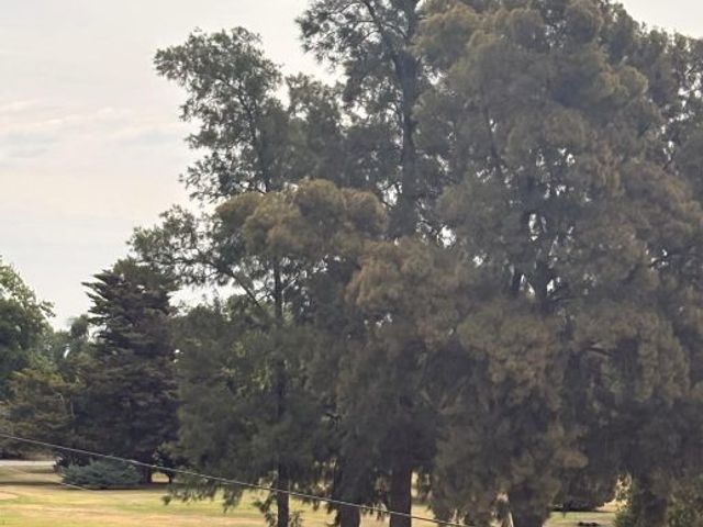 place photo 36