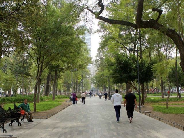 place photo 7