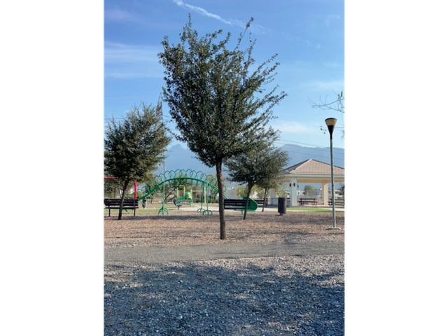 place photo 35