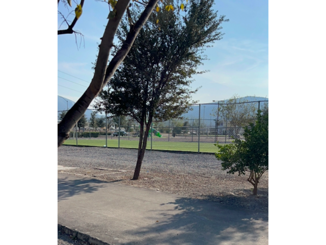 place photo 39