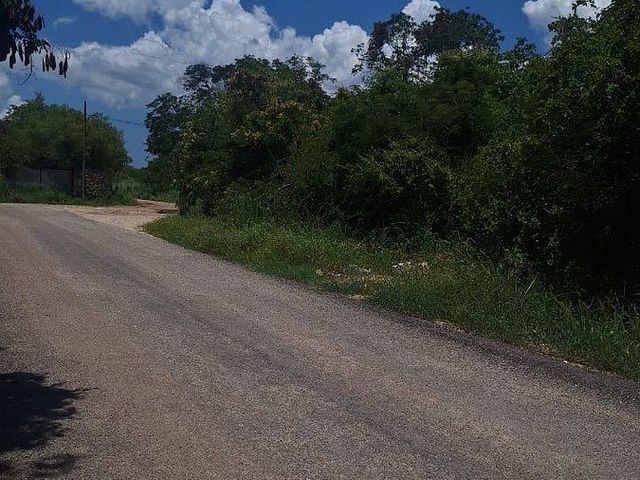 place photo 9
