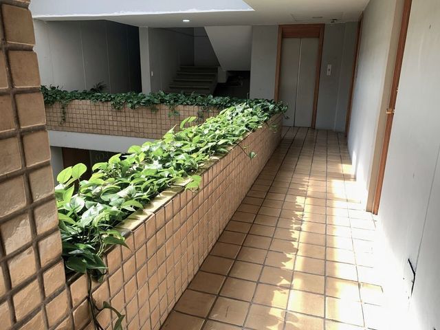 place photo 29