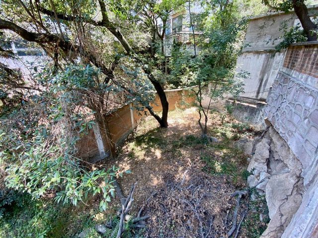 place photo 38