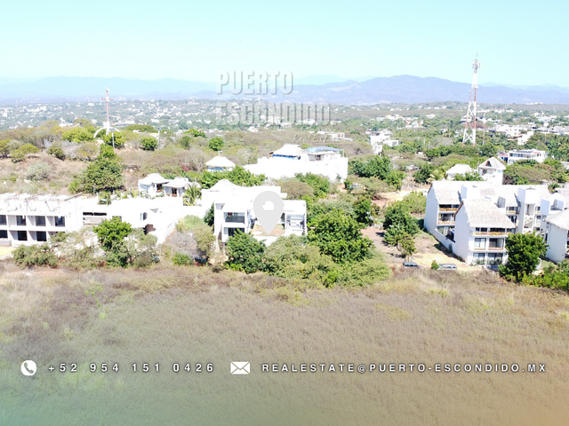 place photo 37