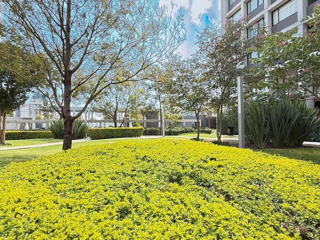 place photo 64