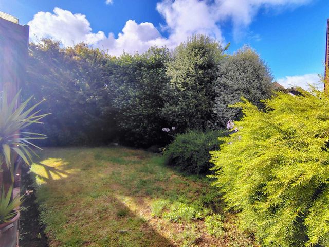 place photo 22