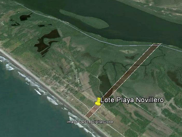 place photo 12