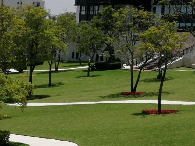 place photo 33