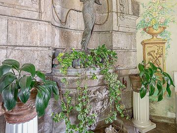 place photo 38