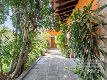 place photo 28