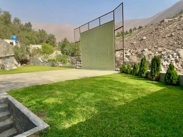 place photo 19