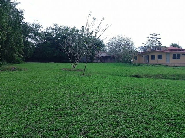 place photo 19