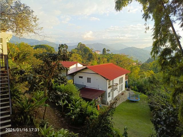 place photo 36