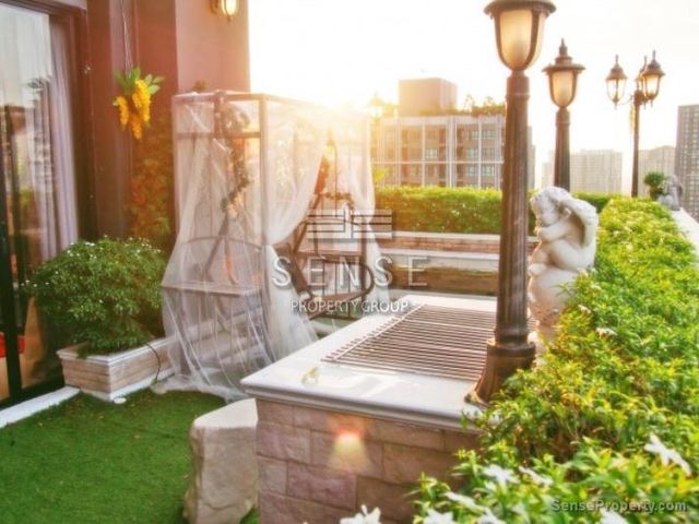 place photo 19