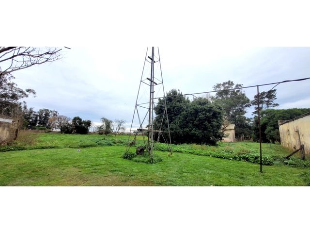 place photo 32