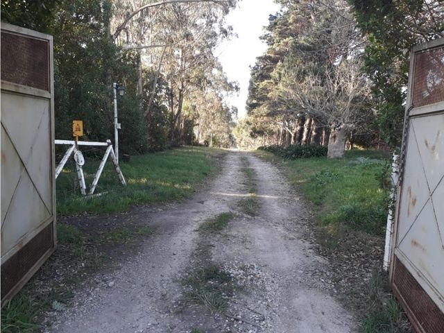 place photo 13