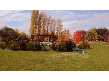 place photo 36