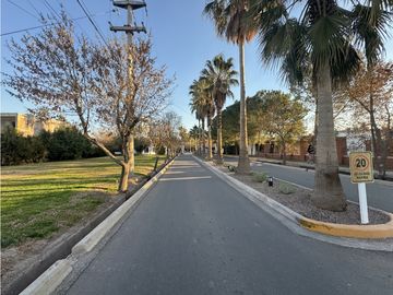 place photo 28