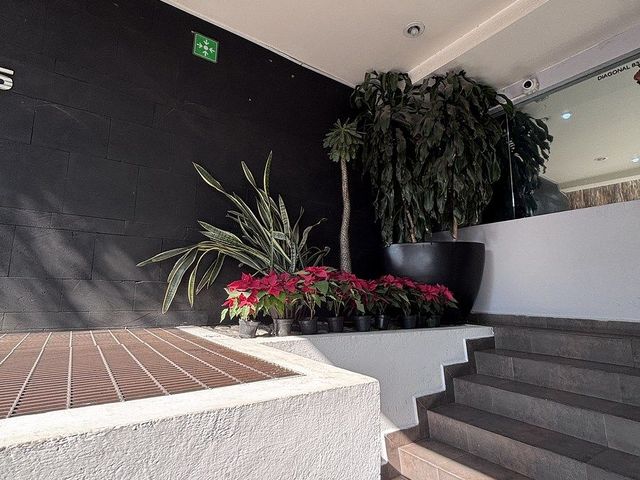 place photo 46