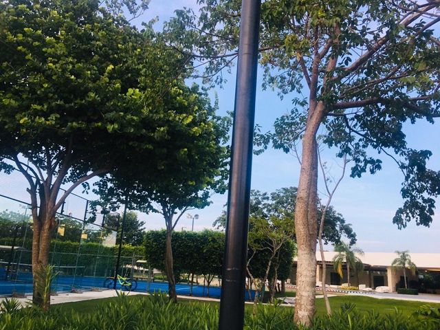 place photo 24