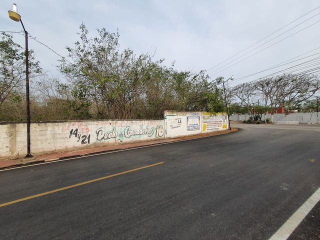 place photo 8