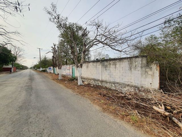 place photo 3