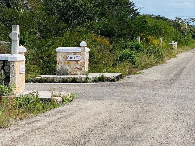 place photo 12