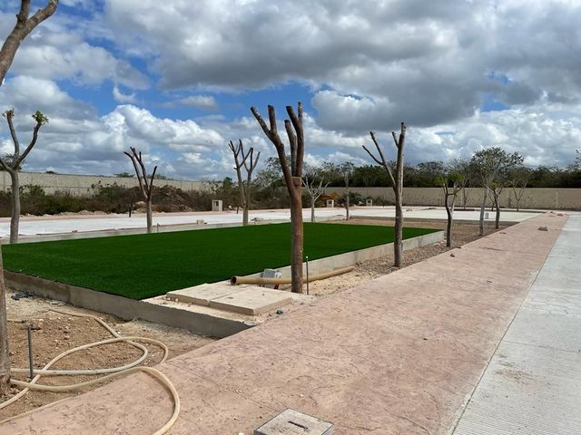place photo 17