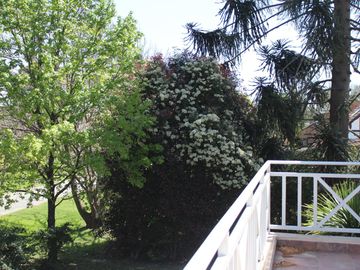 place photo 38