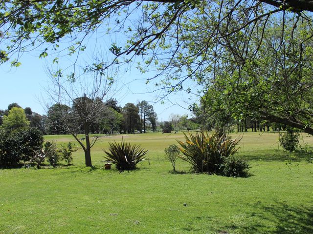 place photo 45