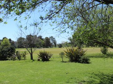 place photo 45
