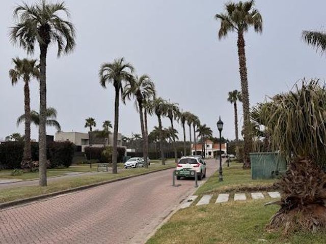 place photo 48