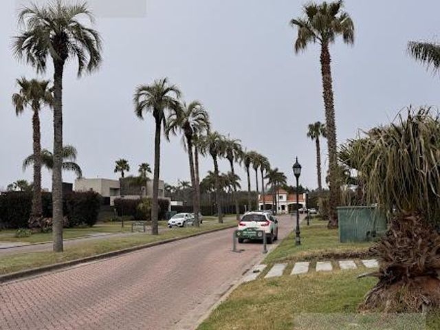 place photo 48