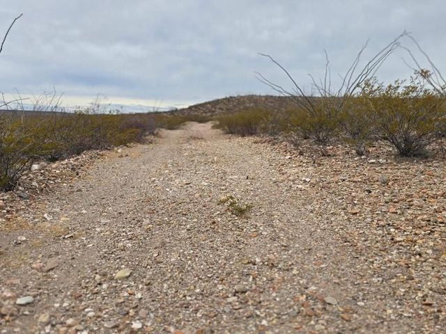 place photo 18