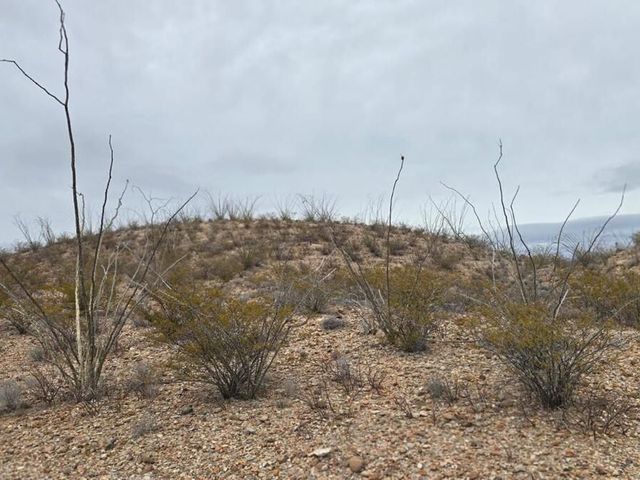 place photo 21