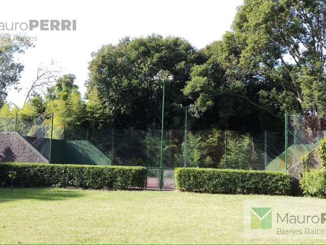 place photo 21