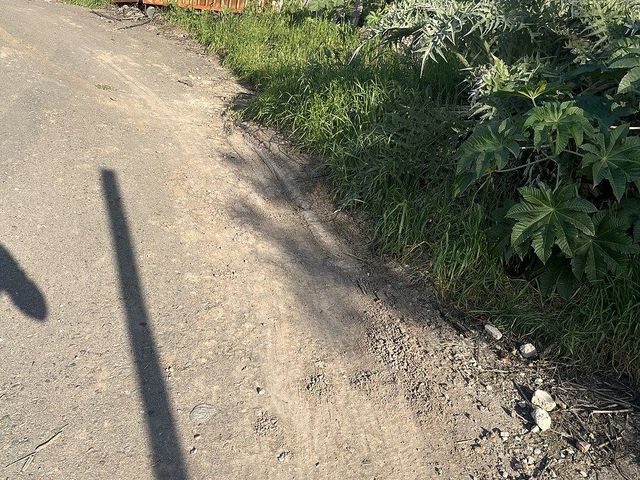 place photo 18