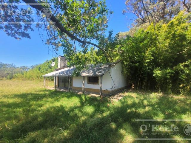 place photo 20