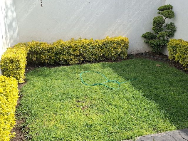 place photo 41